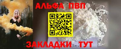 СК Новодвинск