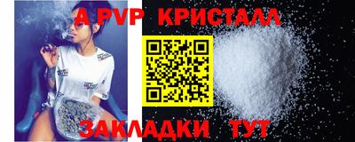 СК Новодвинск