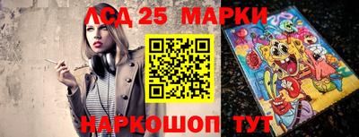 СК Новодвинск