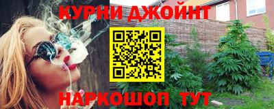 СК Новодвинск