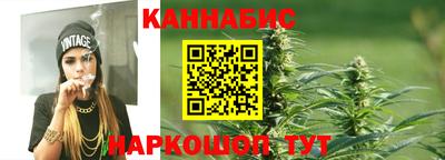 СК Новодвинск