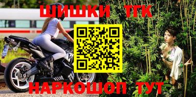 СК Новодвинск