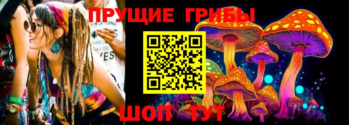 Юрга  Псилоцибиновые грибы мицелий  Вход с VPN 